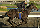 Sunshine Millions Turf Races Draw Top Fields Sunshine Millions Turf Races Draw Top Fields