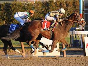 Millionaire Researcher Back in Training Millionaire Researcher Back in Training