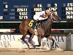 HANA's Top-10 Tracks - #7 Retama Park HANA's Top-10 Tracks - #7 Retama Park