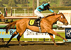 Dramatic 'Anita Win for Grieving Family Dramatic 'Anita Win for Grieving Family