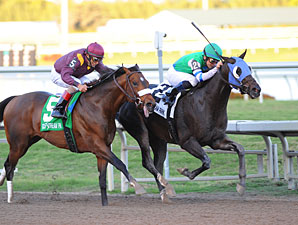 Reveron Tops Coolmore Lexington Nominees Reveron Tops Coolmore Lexington Nominees