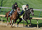 Pletcher Contenders on Track at Churchill