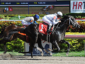 Revolutionary Returns a Winner at Gulfstream Revolutionary Returns a Winner at Gulfstream