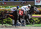 Revolutionary Retired to Stud at WinStar Revolutionary Retired to Stud at WinStar