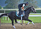 Pletcher to Saddle Record Five Belmont Horses Pletcher to Saddle Record Five Belmont Horses