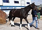 Revolutionary Arrives at Churchill Downs Revolutionary Arrives at Churchill Downs