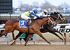 Wood Memorial Possible for Withers' Top Two Wood Memorial Possible for Withers' Top Two