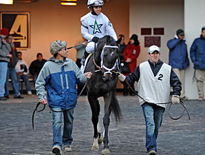 Farish Calls Revolutionary a 'Grand Colt' Farish Calls Revolutionary a 'Grand Colt'