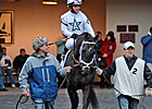 Farish Calls Revolutionary a 'Grand Colt'