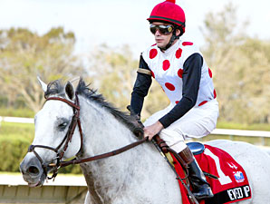 Millionaire Revved Up Retired at Age 11 Millionaire Revved Up Retired at Age 11