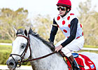 Millionaire Revved Up Retired at Age 11