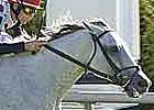 Revved Up Headlines Older Geldings in Sky Classic Field