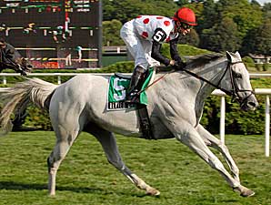 Florida Million Fields Are Set Florida Million Fields Are Set