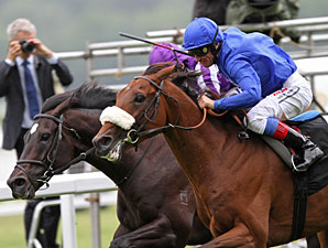Rewilding Stuns So You Think at Royal Ascot Rewilding Stuns So You Think at Royal Ascot