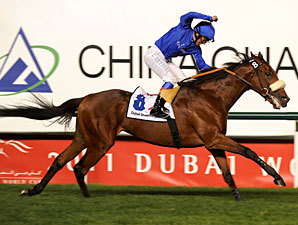 Rewilding Storms Home in Dubai Sheema Classic Rewilding Storms Home in Dubai Sheema Classic
