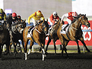 Reynaldothewizard Shines in Golden Shaheen Reynaldothewizard Shines in Golden Shaheen