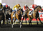 Reynaldothewizard Shines in Golden Shaheen Reynaldothewizard Shines in Golden Shaheen