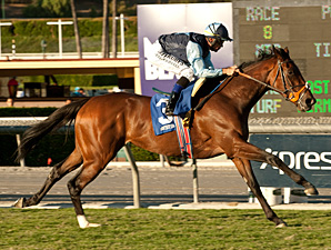 Rhythm of Light Speeds Home in Goldikova Rhythm of Light Speeds Home in Goldikova