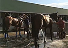 Bath Time for Ria Antonia, Hoppertunity Bath Time for Ria Antonia, Hoppertunity