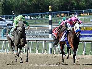 Ria Antonia Placed First in Juvenile Fillies Ria Antonia Placed First in Juvenile Fillies