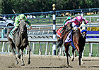 Ria Antonia Placed First in Juvenile Fillies Ria Antonia Placed First in Juvenile Fillies