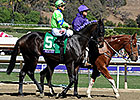 Paolucci Moves Ria Antonia to Baffert Paolucci Moves Ria Antonia to Baffert