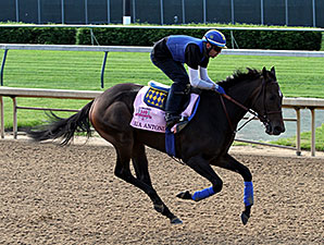 Two Fillies Among 37 Ohio Derby Nominees Two Fillies Among 37 Ohio Derby Nominees