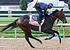 Ria Antonia, Napravnik Aboard, Breezes Ria Antonia, Napravnik Aboard, Breezes