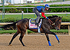 Ria Antonia Moved to Amoss, Eyes Preakness Ria Antonia Moved to Amoss, Eyes Preakness