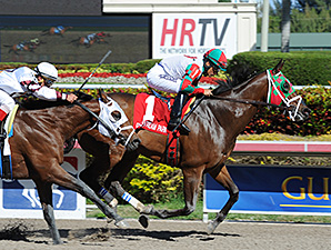 Ribo Bobo Wins Another Stakes at Gulfstream Ribo Bobo Wins Another Stakes at Gulfstream