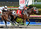 Ribo Bobo Wins Another Stakes at Gulfstream Ribo Bobo Wins Another Stakes at Gulfstream