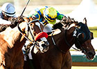 Rich Tapestry, Big Macher in Sprint Works Rich Tapestry, Big Macher in Sprint Works