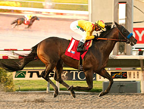Richard's Kid Dominates Rivals in Cougar II Richard's Kid Dominates Rivals in Cougar II