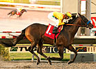 Richard's Kid Dominates Rivals in Cougar II