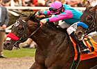 Multiple Grade I Winner Richard's Kid Retired Multiple Grade I Winner Richard's Kid Retired