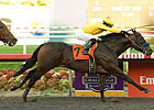 Richard's Kid Chops Down Goodwood Foes