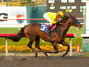 Pacific Classic Field Begins to Take Shape Pacific Classic Field Begins to Take Shape