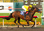 Pacific Classic Field Begins to Take Shape Pacific Classic Field Begins to Take Shape