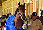 Dutrow Unfazed by Big Brown's Post Dutrow Unfazed by Big Brown's Post