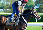 Ride On Curlin to Get Some Time Off Ride On Curlin to Get Some Time Off