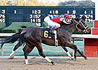 Ride On Curlin Returns a Winner at Oaklawn Ride On Curlin Returns a Winner at Oaklawn
