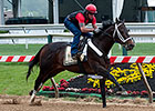 Ride On Curlin Turns in Preakness Breeze Ride On Curlin Turns in Preakness Breeze