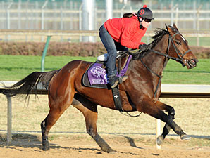 F&M Sprint Favorite Rightly So Scratched F&M Sprint Favorite Rightly So Scratched