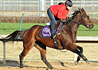 F&M Sprint Favorite Rightly So Scratched