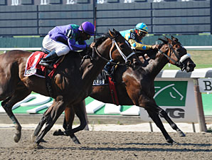 Rightly So Wins Head Bob in Bed o' Roses Rightly So Wins Head Bob in Bed o' Roses