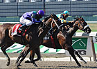 Rightly So Wins Head Bob in Bed o' Roses Rightly So Wins Head Bob in Bed o' Roses