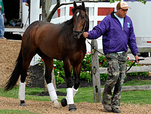 Preakness Notes: May 15 Preakness Notes: May 15