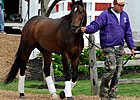 Preakness Notes: May 15