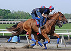 Preakness Likely After Ring Weekend Breezes Preakness Likely After Ring Weekend Breezes