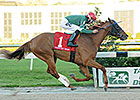 Ring Weekend Returns in Sir Cat at Saratoga Ring Weekend Returns in Sir Cat at Saratoga